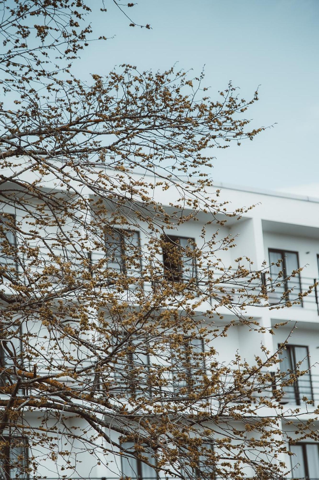 Oe Seaside Suites & Spa Kuressaare Ngoại thất bức ảnh